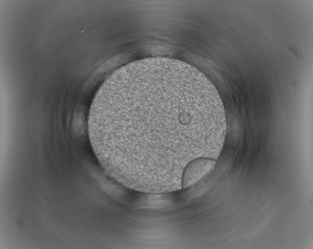 X0000112790622200910021101