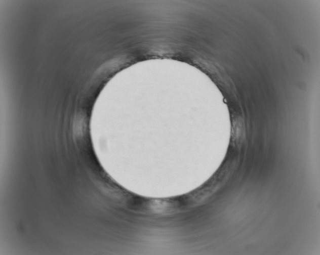 X0000112790623200910021101