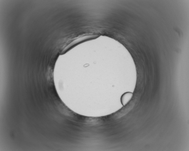 X0000112790624200910021101