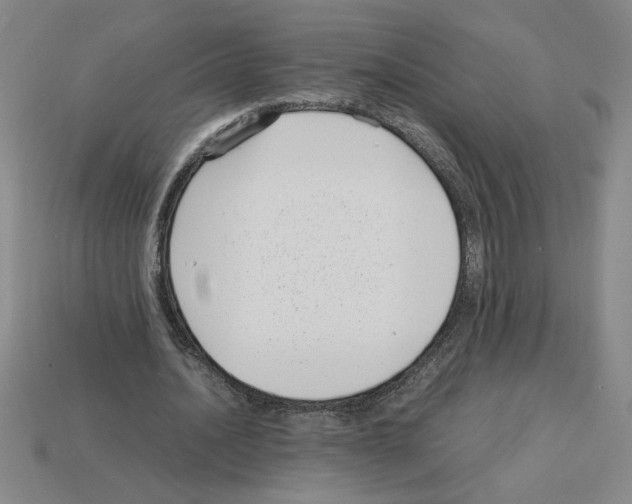 X0000112790628200910021100