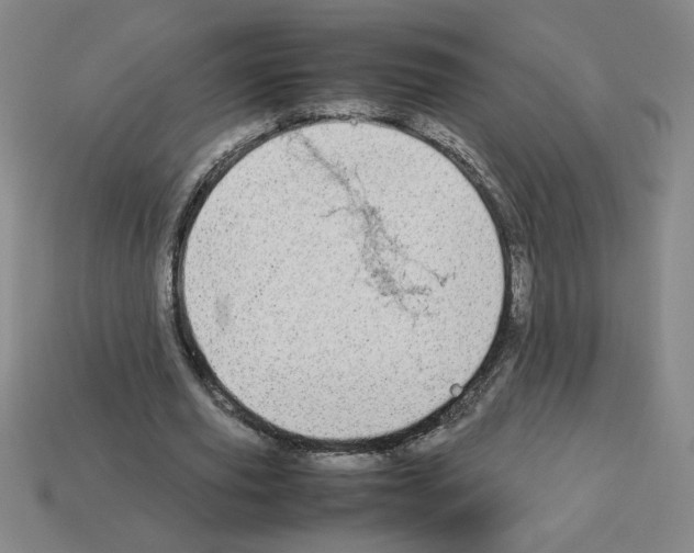 X0000112790629200910021100