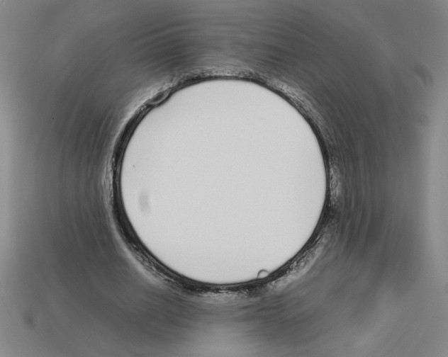 X0000112790630200910021100