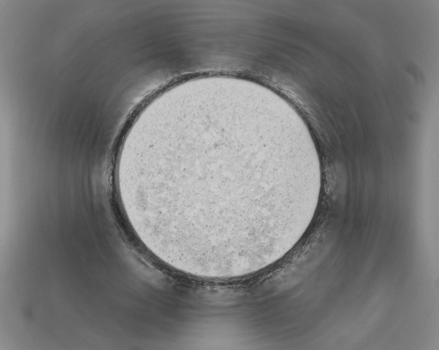 X0000112790632200910021100