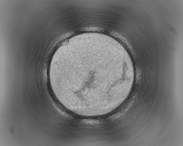 X0000112790633200910021100