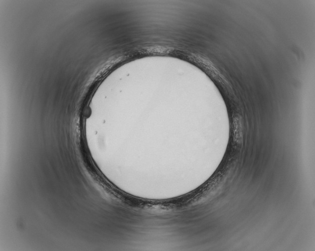 X0000112790634200910021100