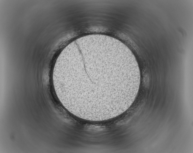 X0000112790635200910021100