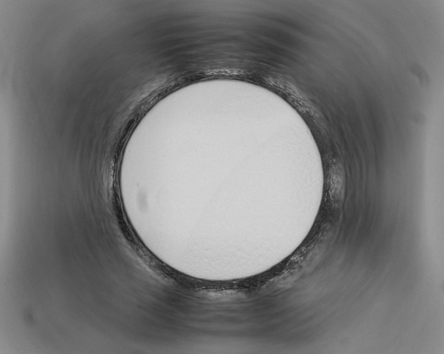 X0000112790637200910021100