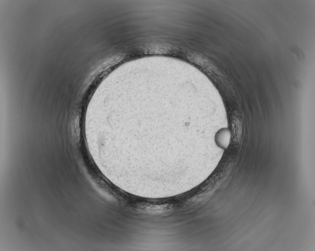 X0000112790638200910021100