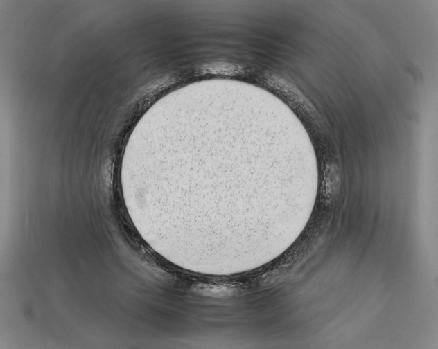 X0000112790639200910021100