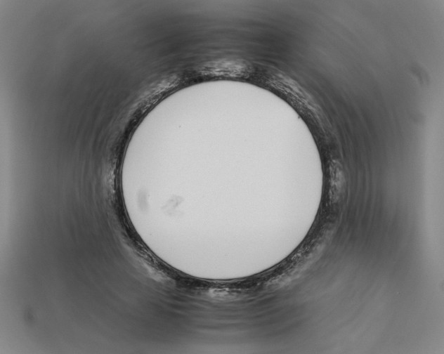 X0000112790641200910021100