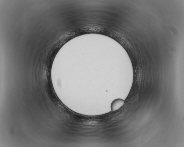 X0000112790643200910021100