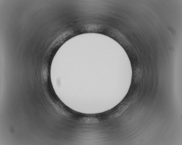 X0000112790644200910021100