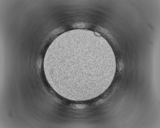 X0000112790645200910021100