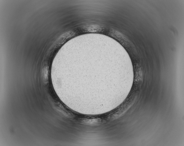 X0000112790646200910021100