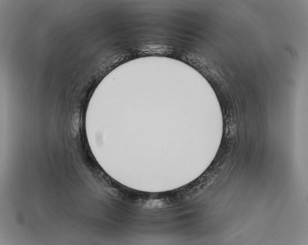 X0000112790647200910021100