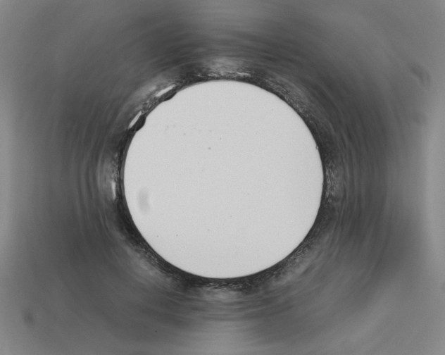 X0000112790648200910021100