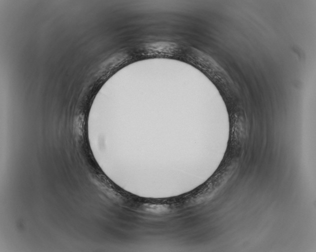 X0000112790649200910021100