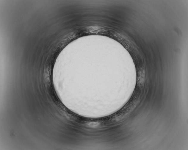 X0000112790653200910021100