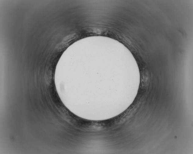 X0000112790656200910021100