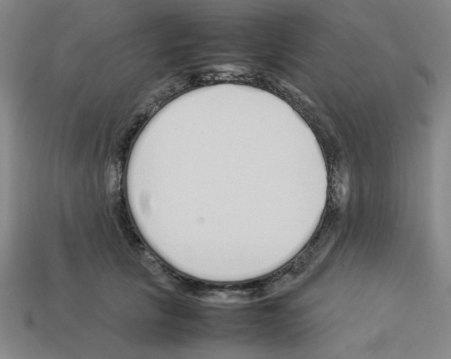 X0000112790657200910021100