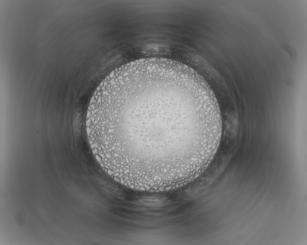 X0000112790659200910021100