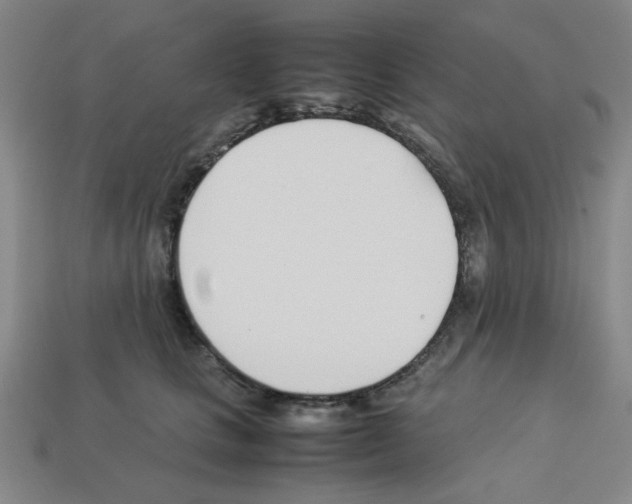 X0000112790661200910021100