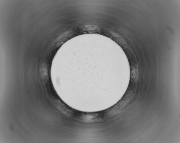 X0000112790662200910021100