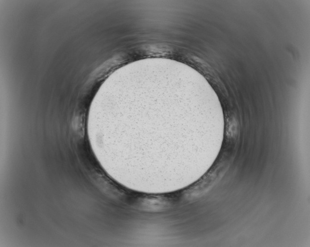 X0000112790666200910021101