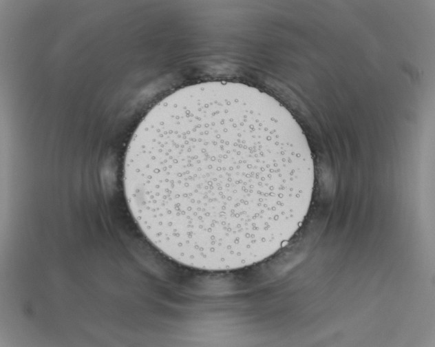 X0000112790668200910021101