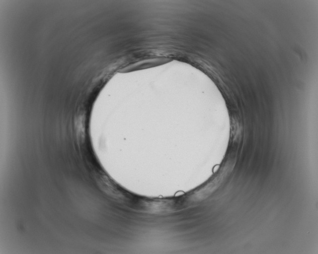 X0000112790670200910021101