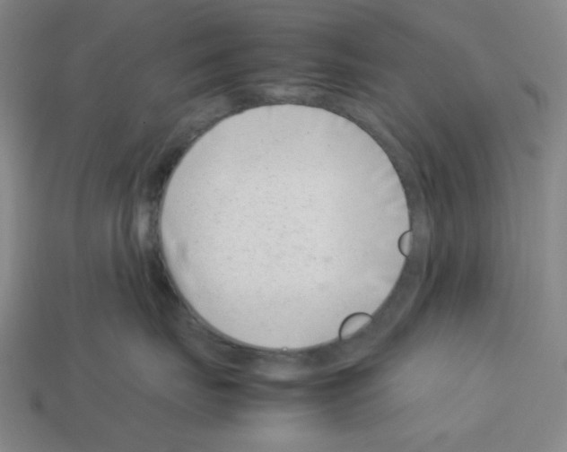 X0000112790671200910021101