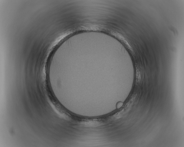 X0000112790674200910021100