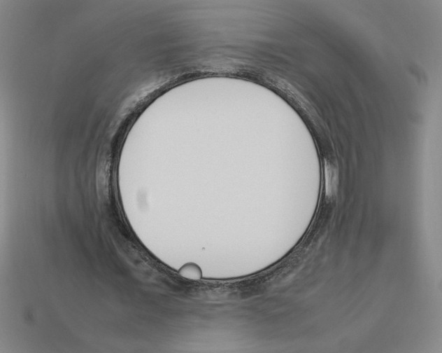 X0000112790675200910021100