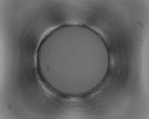 X0000112790678200910021100