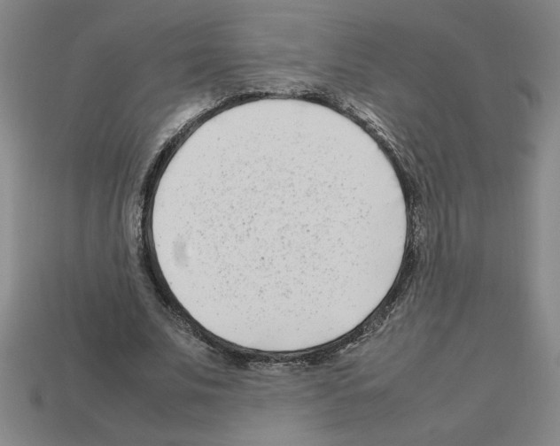 X0000112790679200910021100