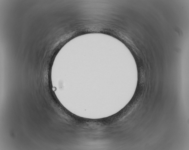 X0000112790681200910021100