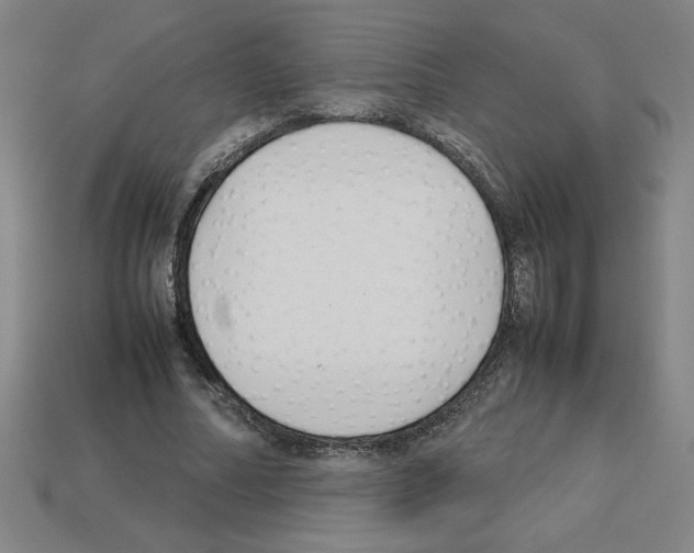 X0000112790682200910021100