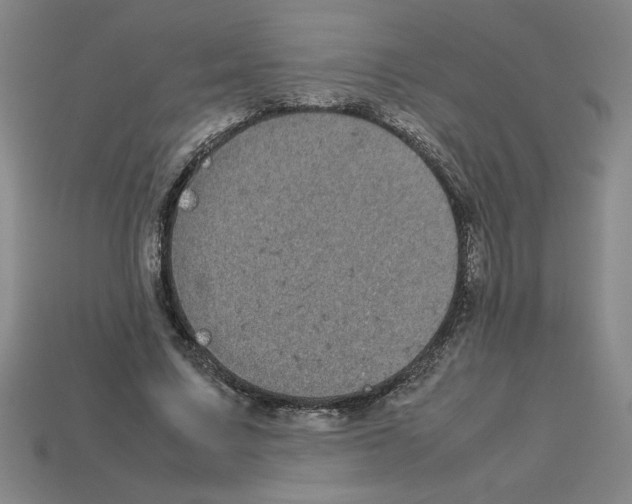 X0000112790683200910021100