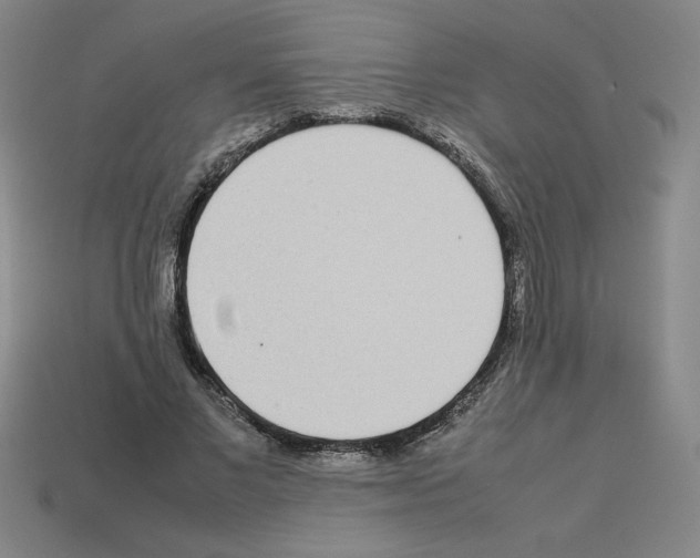 X0000112790685200910021100