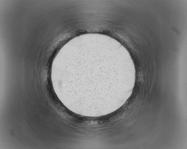 X0000112790687200910021100