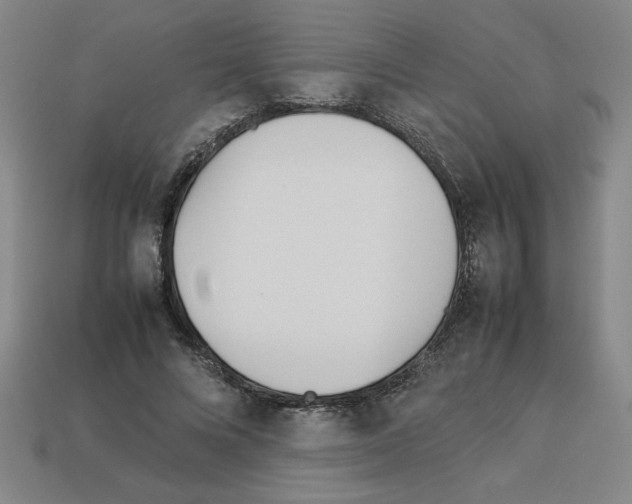 X0000112790688200910021100