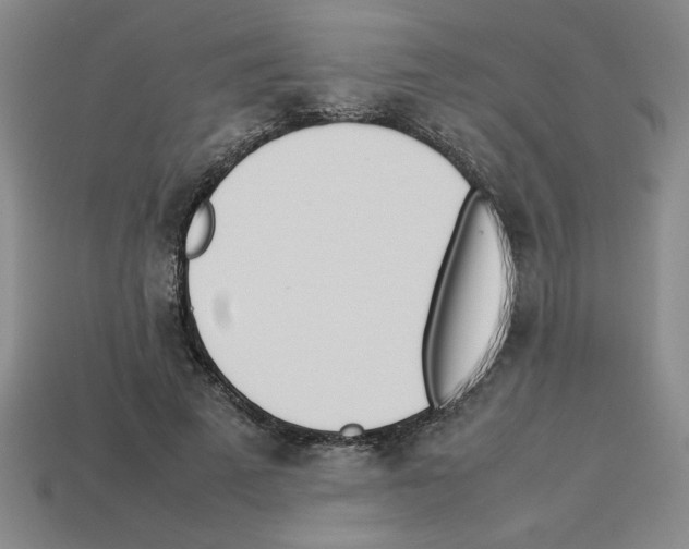 X0000112790689200910021100