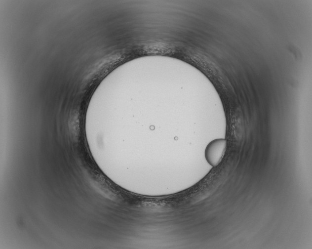 X0000112790690200910021100