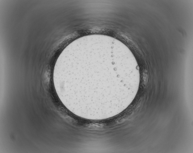 X0000112790691200910021100