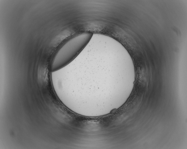 X0000112790692200910021100