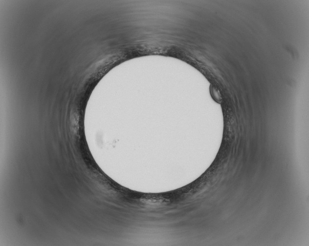 X0000112790693200910021100