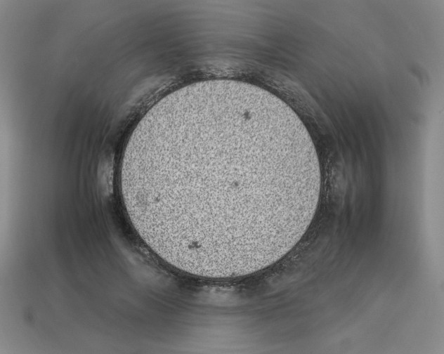 X0000112790694200910021100