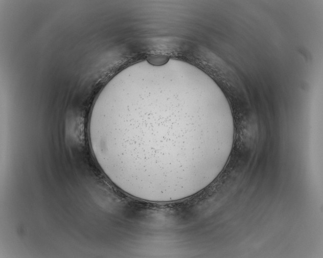 X0000112790696200910021100