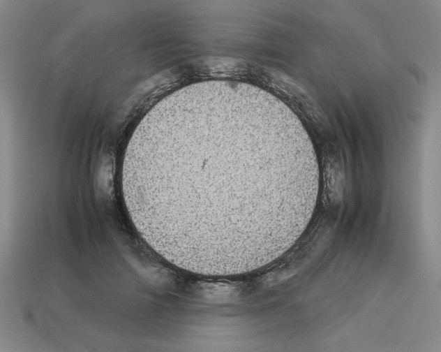 X0000112790698200910021100