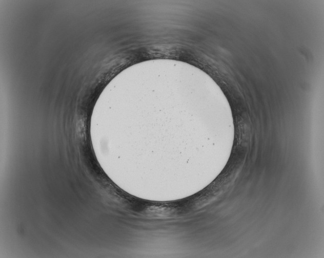 X0000112790699200910021100